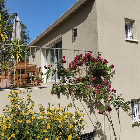 Charmante Maison Avec Jardin Aux Portes Des Gorges De L'Ardeche Saint-Julien-de-Peyrolas Exteriér fotografie