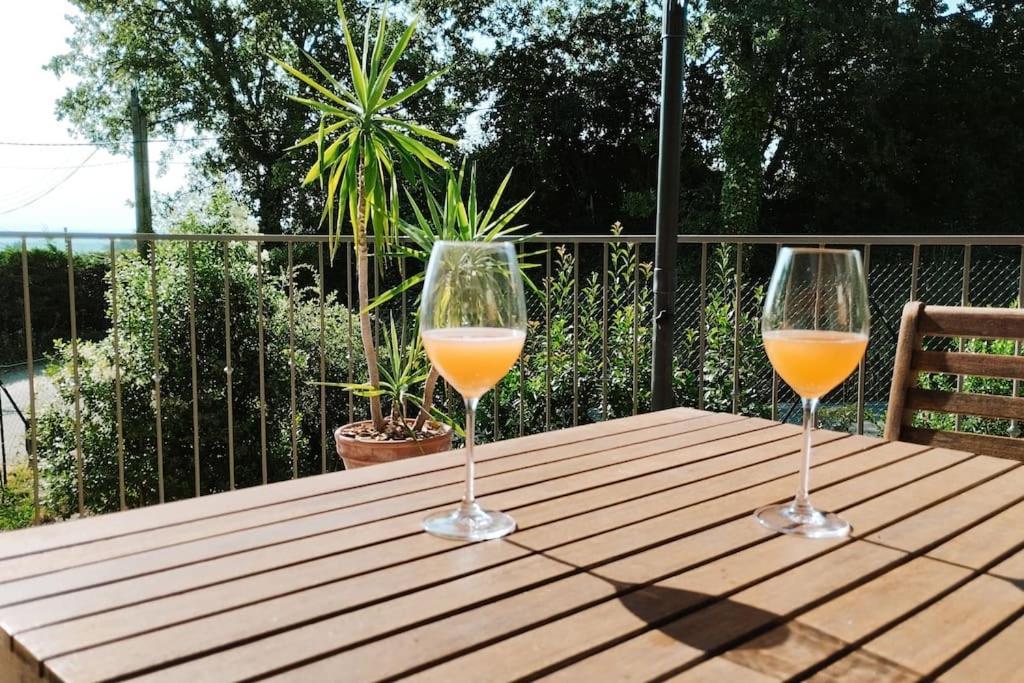 Charmante Maison Avec Jardin Aux Portes Des Gorges De L'Ardeche Saint-Julien-de-Peyrolas Exteriér fotografie